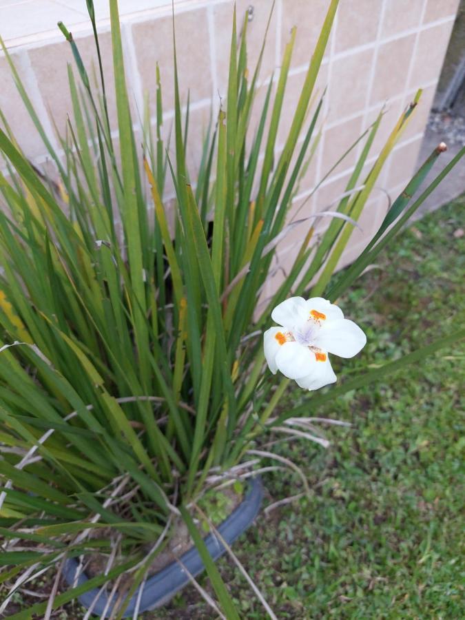 Casa Canto Verde Visconde de Mauá Eksteriør bilde